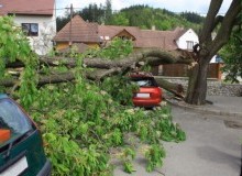 Kwikfynd Tree Cutting Services
lakehiawatha